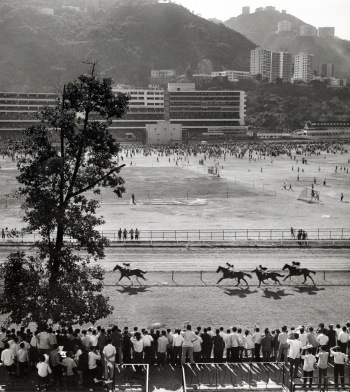 At the Races