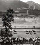 At the Races