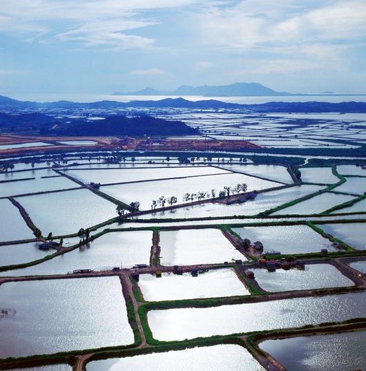 Mai Po Marshes, New Territories