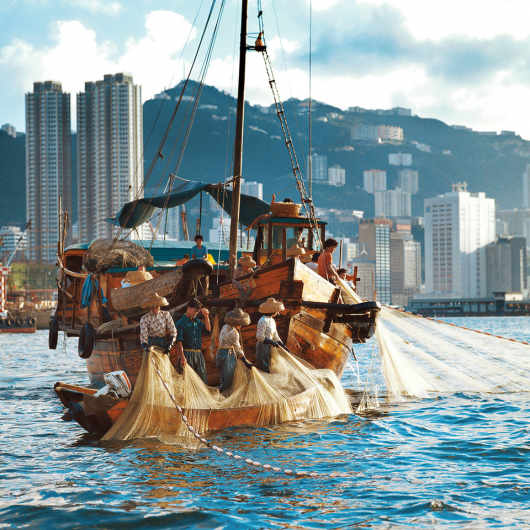 Fishing in Hong Kong Harbour
