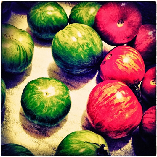 Red and Green Tomatoes