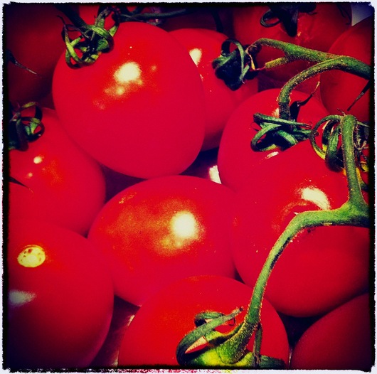Plum Tomatoes
