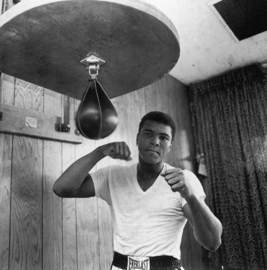 Ali in Training