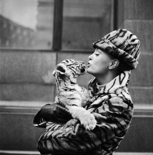 Tiger Lady
