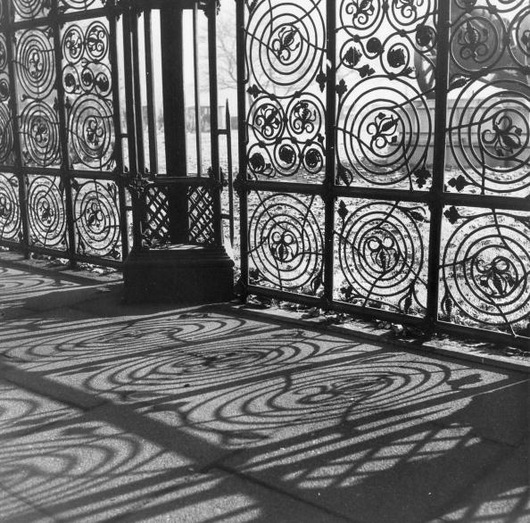 Intricate Shadows