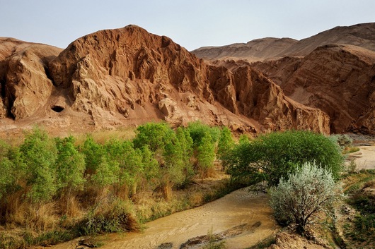 Oasis Turpan