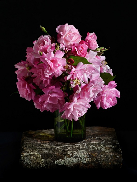 Roses simplements