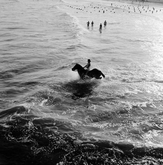 Aquatic Equestrian