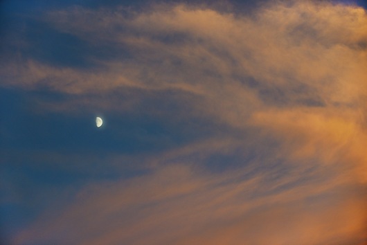Moonrise over my garden