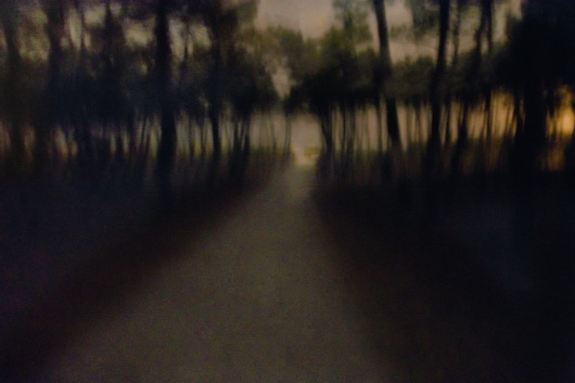 Path in the Night