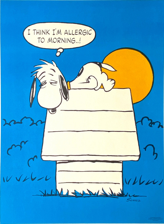 Snoopy - 