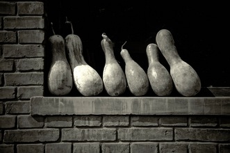 Still Life 5