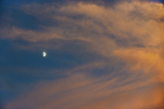 Moonrise over my garden