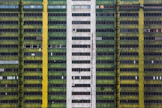 Hong Kong In Living Colour (XXI), Hing Wai