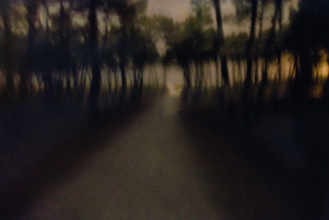 Path in the Night