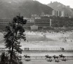 Yau Leung At the Races, Happy Valley Hong Kong Photograph