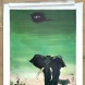 Africa - SAS