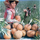 Taiwan, Republic of China